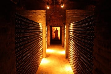 Private Full Day Rafting and Wine From Santiago