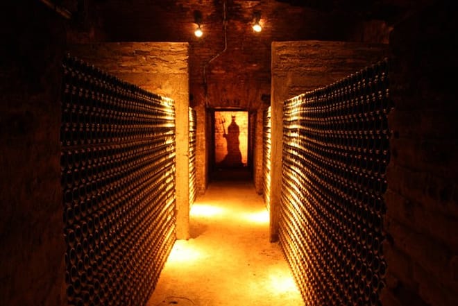 Private Full Day Rafting and Wine From Santiago 5