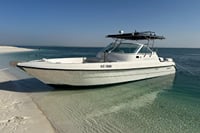 Private Abu Dhabi City Tour with Corniche Cruise at Al Bateen 1
