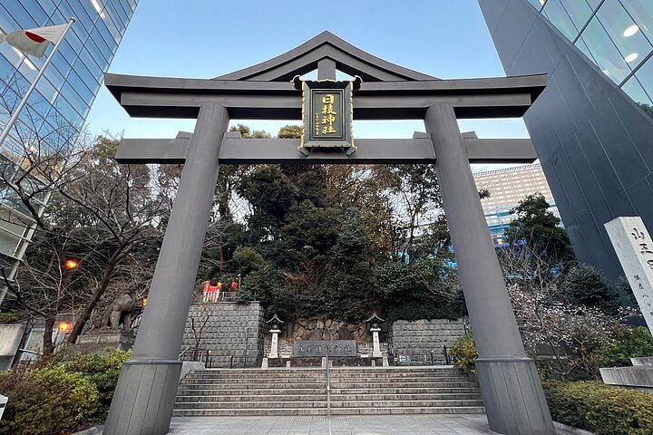 Small Group Walking Tour around Imperial palace and Hie Shrine