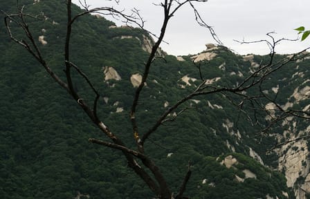 Mount Huashan Hiking and Cable Car Tour from Xi'an