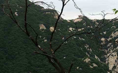 Mount Huashan Hiking and Cable Car Tour from Xi'an