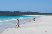 Wildlife, Hyams Whitest Beach and South Coast Private Tour 1