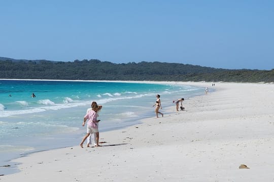 Wildlife, Hyams Whitest Beach and South Coast Private Tour