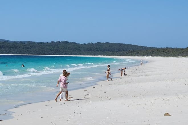 Wildlife, Hyams Whitest Beach and South Coast Private Tour