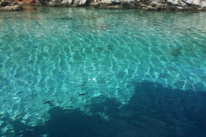 Daily Boat Trip in Bodrum with Lunch 4