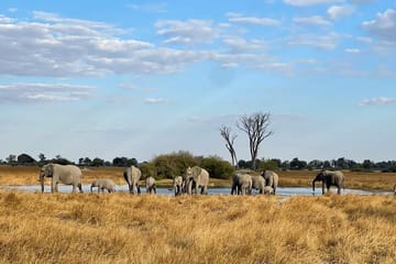 5-Day Adventure Tour of Victoria Falls and Chobe National Park