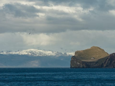 Vestmannaeyjar - The Westman Islands, photo 3