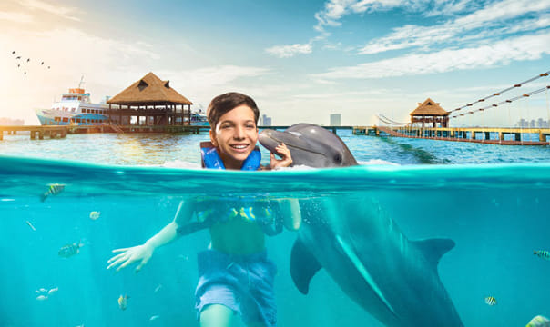 Dolphin Encounter en Isla Mujeres