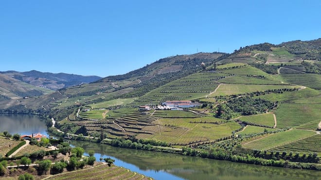 Private Douro Valley Wineries Tour with Wine-tastings and Typical Lunch photo 6