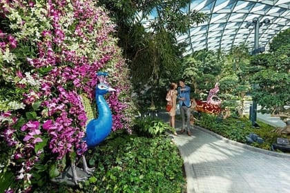Jewel Changi Airport: Walking Net + Complimentary Canopy Park