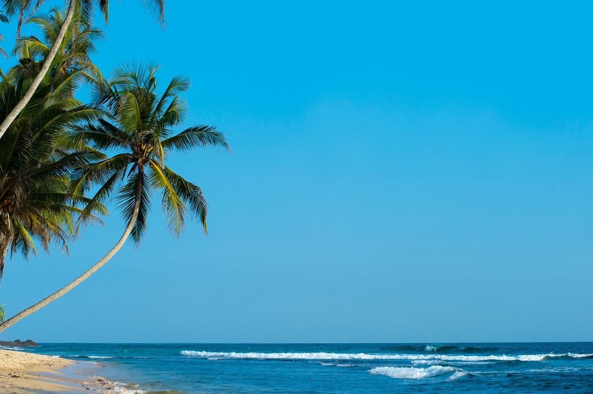 Beachfront Bliss and Safari Adventures in Sri Lanka