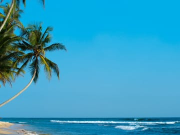 Beach and Safari Tour in Colombo, Sri Lanka - 6 Days