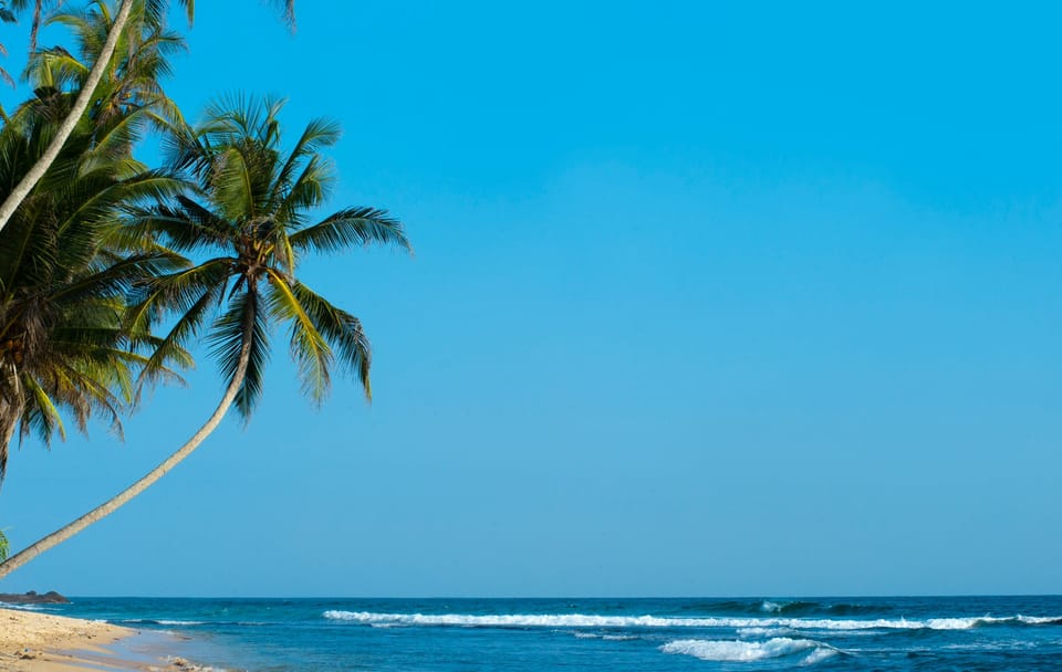 05 Nights/06 Days Beach & Safari Tour