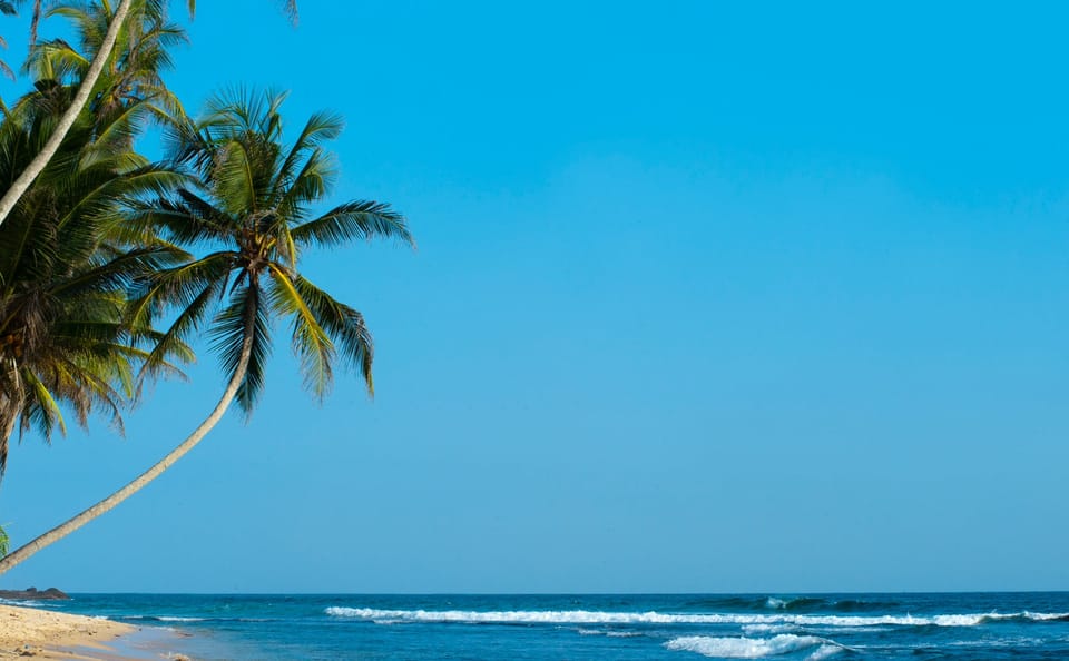 Beach and Safari Tour in Colombo, Sri Lanka - 6 Days