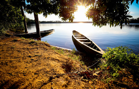 Full Day Amazon Jungle Expedition in Iquitos, Peru
