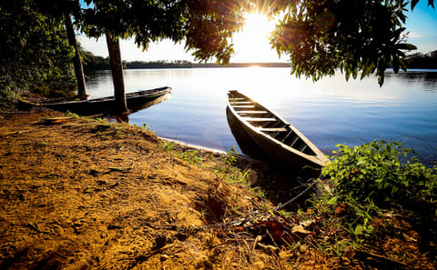 Full Day Amazon Jungle Expedition in Iquitos, Peru