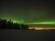 Arctic Skies – Evening Reindeer Safari 3