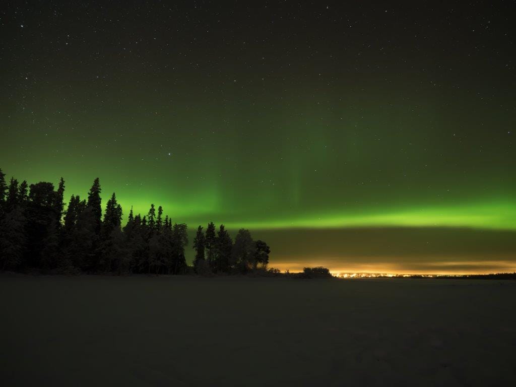 Arctic Skies – Evening Reindeer Safari 3
