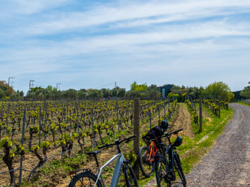 E-Bike & Wine: A Journey Through Ancient Greek History on the Aegean Coast