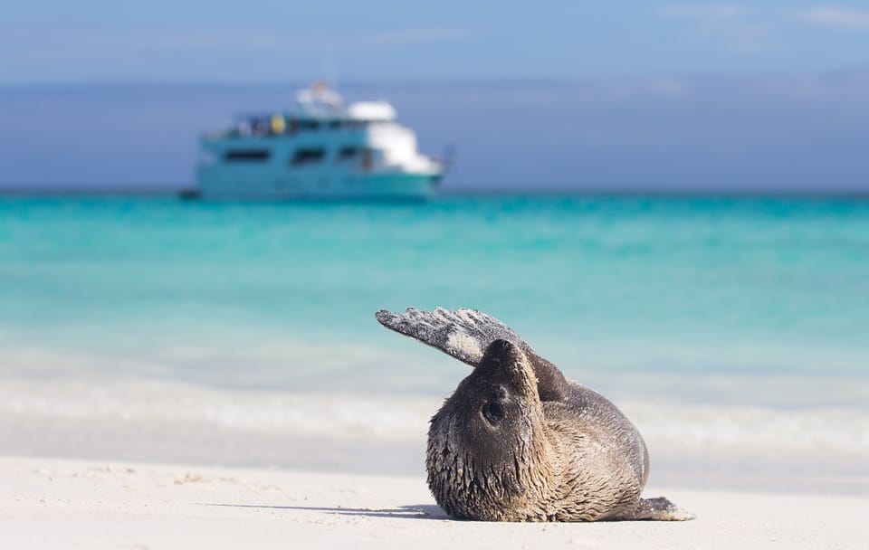 Andes and Galapagos Cultural and Nature Tour in Peru