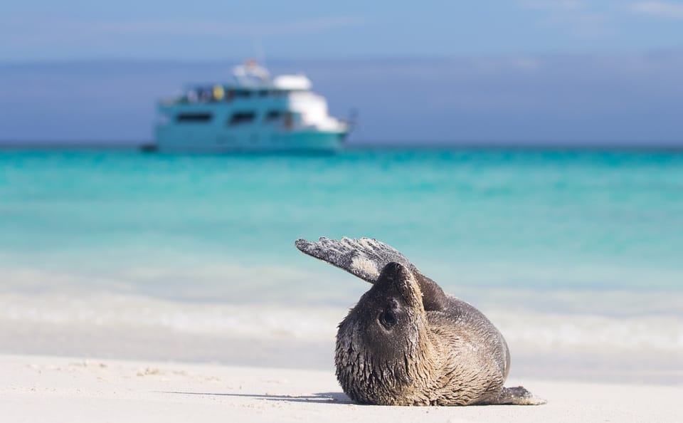 Andes and Galapagos Cultural and Nature Tour in Peru