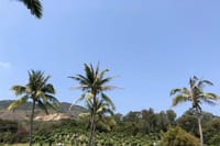Private Day Tour in Sanya: Nanshan Cultural Tourism Zone and Luhuitou 4
