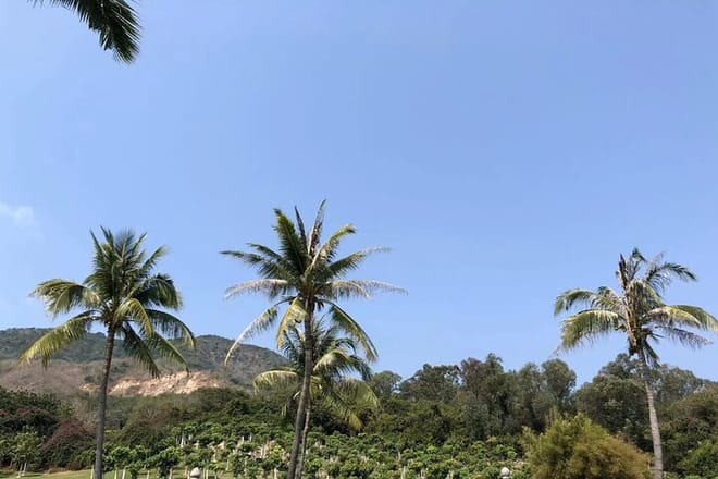 Private Day Tour in Sanya: Nanshan Cultural Tourism Zone and Luhuitou photo 4