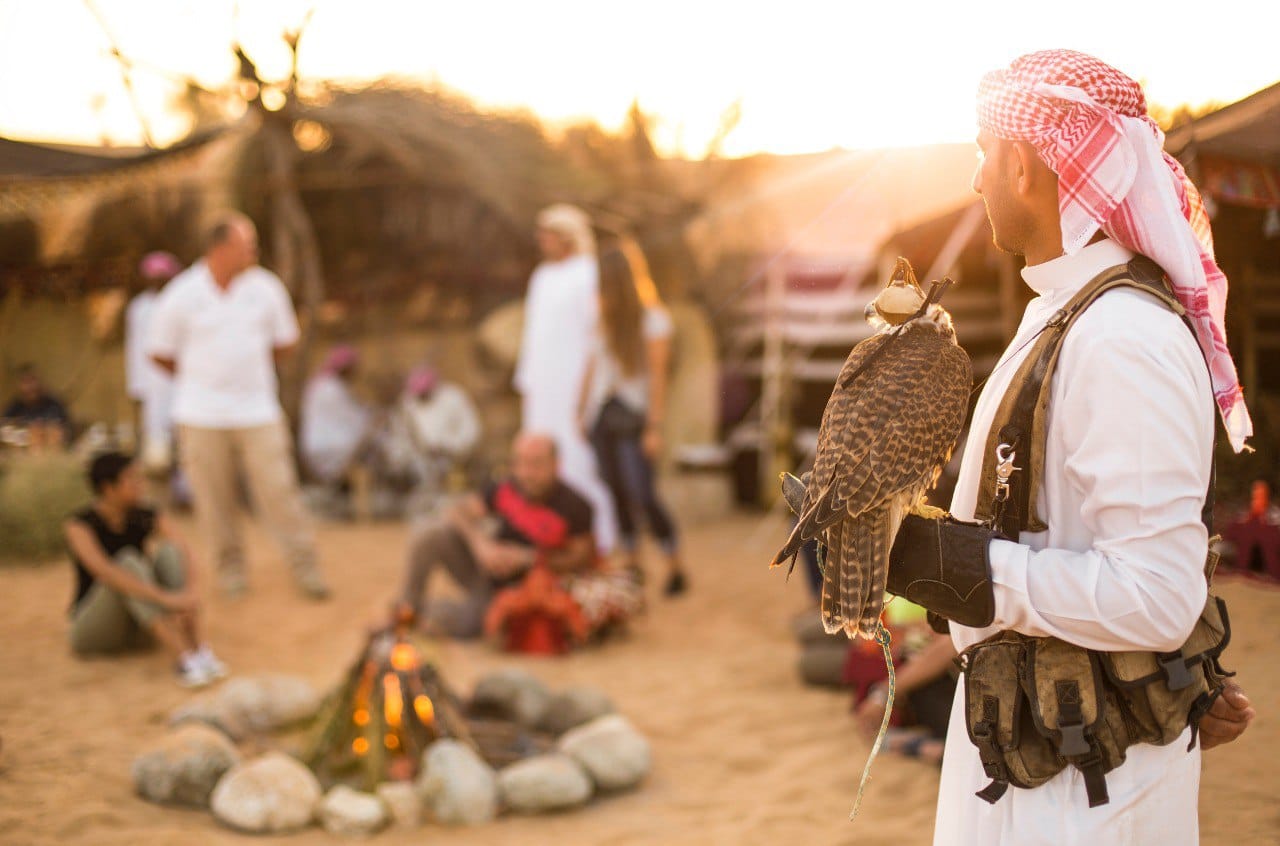 Dubai Morning Heritage Falconry & Nature Safari 4