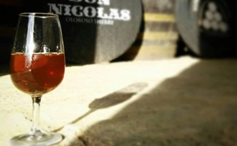 Jerez de la Frontera Foodie Tour in “Tabancos”