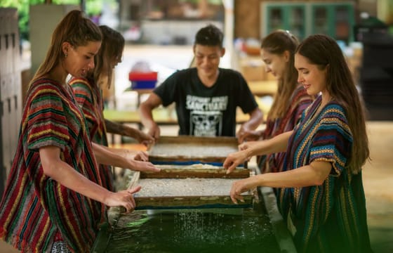 Phuket: Walk With Elephants Experience