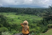 Bali Highlights Customizable Private Day Tour  4