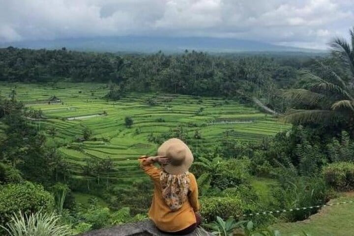 Bali Highlights Customizable Private Day Tour  4