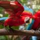 Bird Park