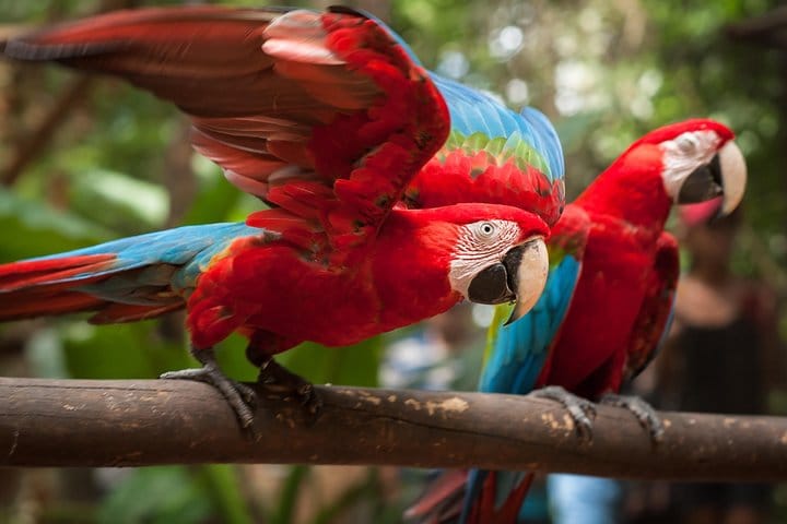 Bird Park