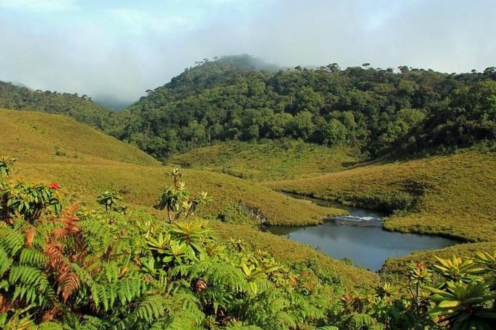 4 Days Tour to Kandy, Sigiriya & Nuwara Eliya