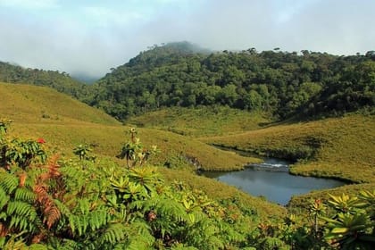 4 Days Tour with Hiking and Scenic Train Ride