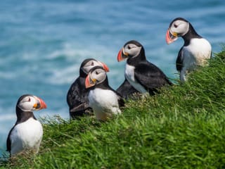 Ultimate Iceland Road Trip - 10-Day Self-Drive, photo 8