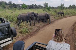 Hurulu Eco Park Shared Safari 