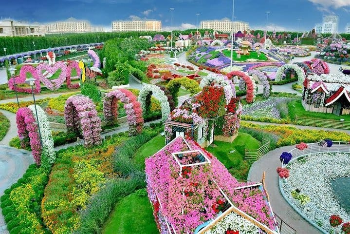Miracle Garden Ticket With Sharing Transfers From Dubai