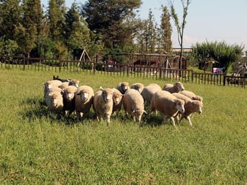 Anseong Farm Land