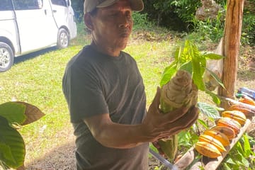 Maya Chocolate Making Tour in Belize with Hands-On Experience