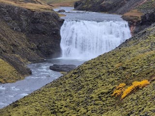 Golden Circle Tour with Friðheimar Tomato Farm Experience, photo 15