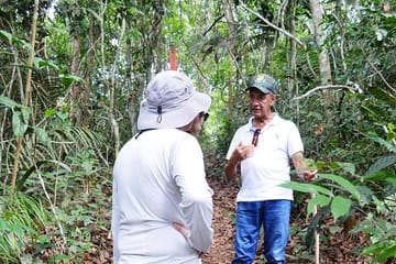 4-Hour Amazon Rainforest Trekking Tour from Manaus