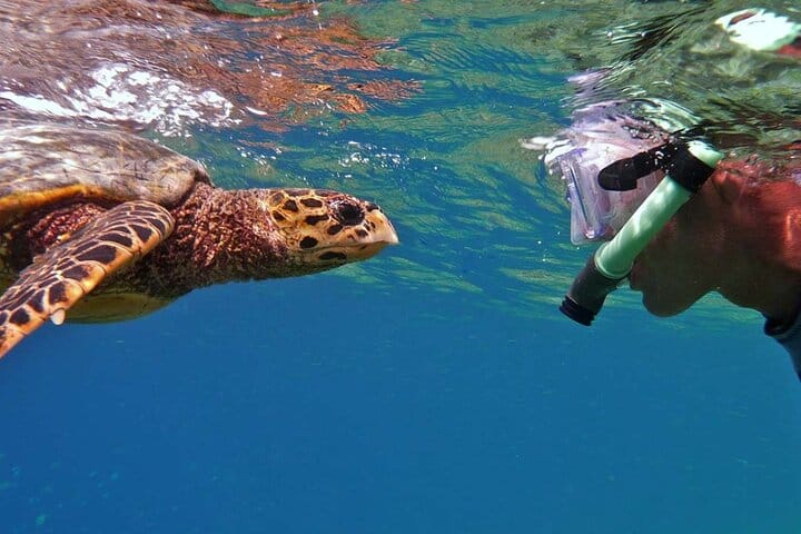 Full day Marsa Mubarak Snorkel trip with lunch from Marsa Alam