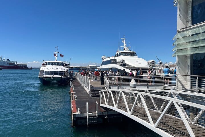 Robben Island Museum Ticket Ferry Half Day Tour