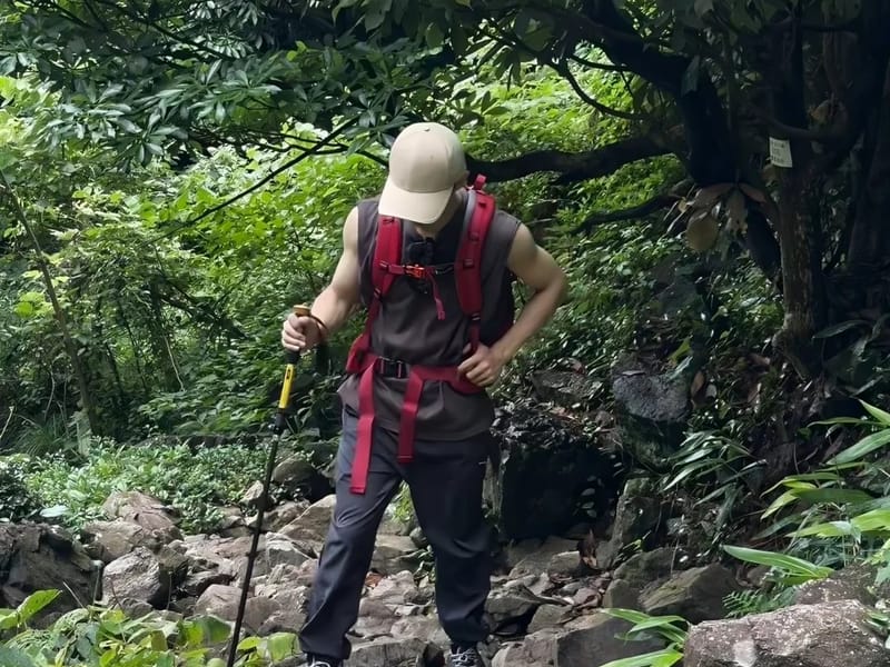 Hangzhou: Bamboo Trails, Waterfalls & Peach Picking Day Trip
