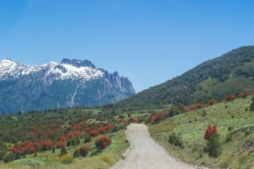 Lake Huechulafquen and Lanin Volcano Day Trip