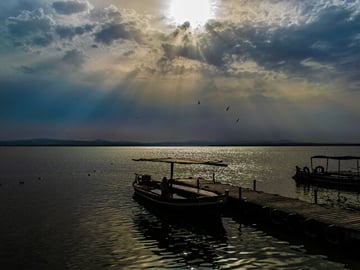 From Valencia a boat ride in the Albufera Musement