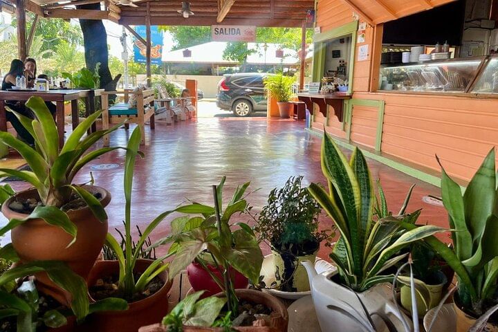 Damajagua Waterfalls and Monkey Private Van Tour